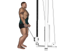 Cable Curl - Standing